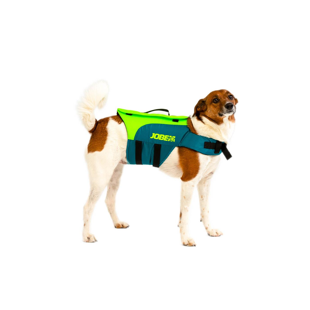 Jobe Dog Lifejacket