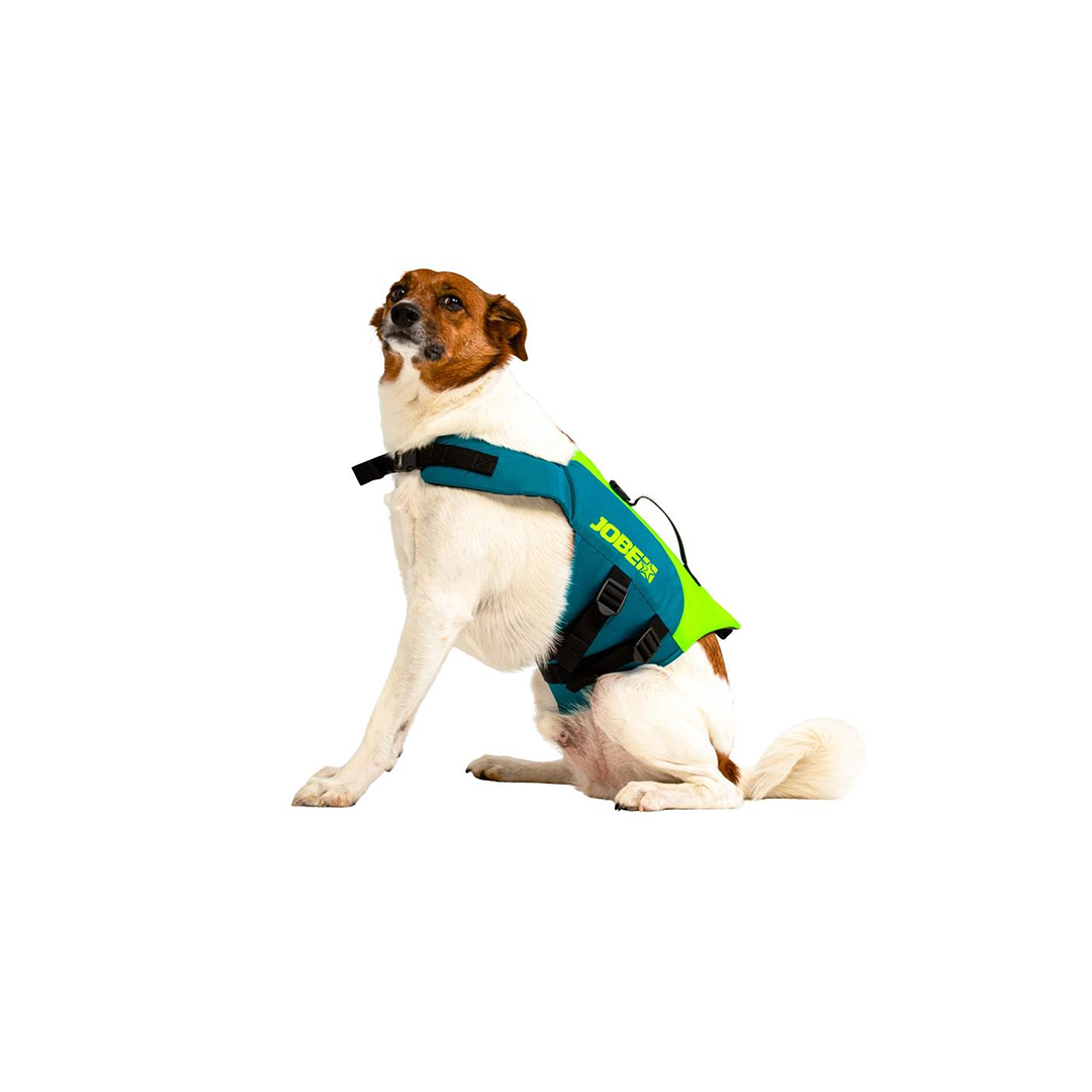 Jobe Dog Lifejacket