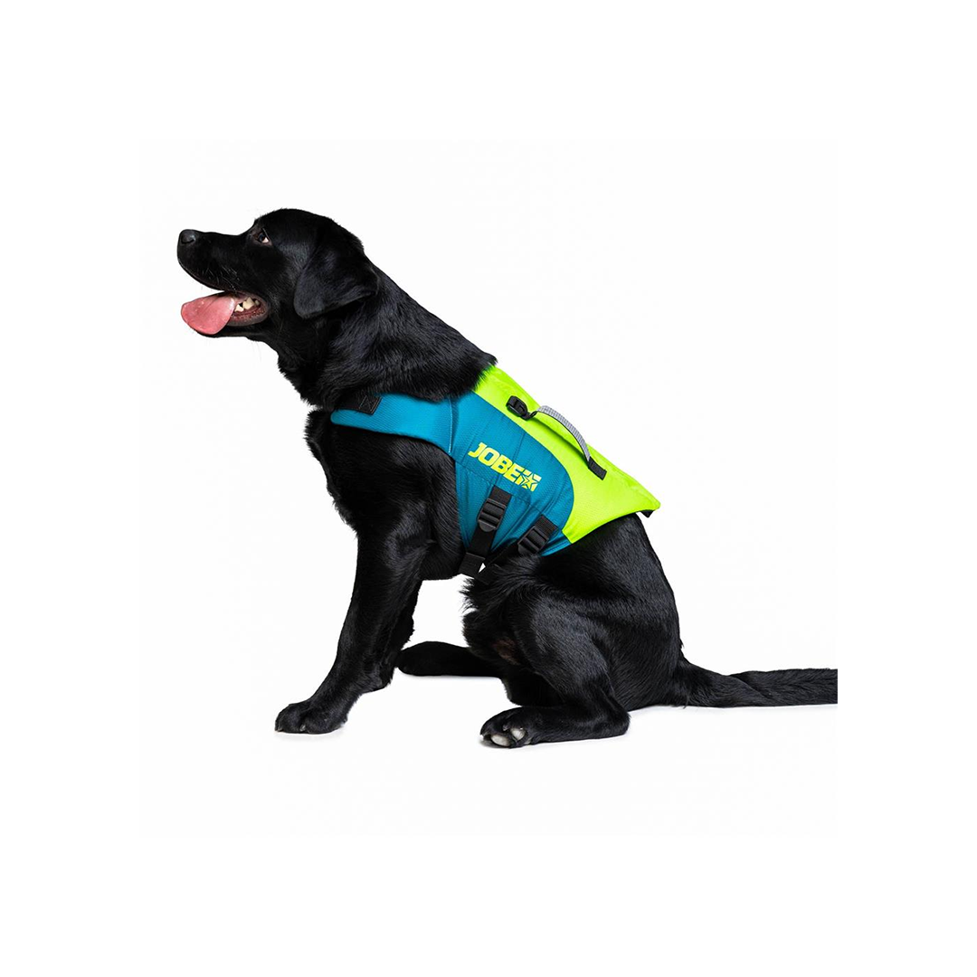 Jobe Dog Lifejacket
