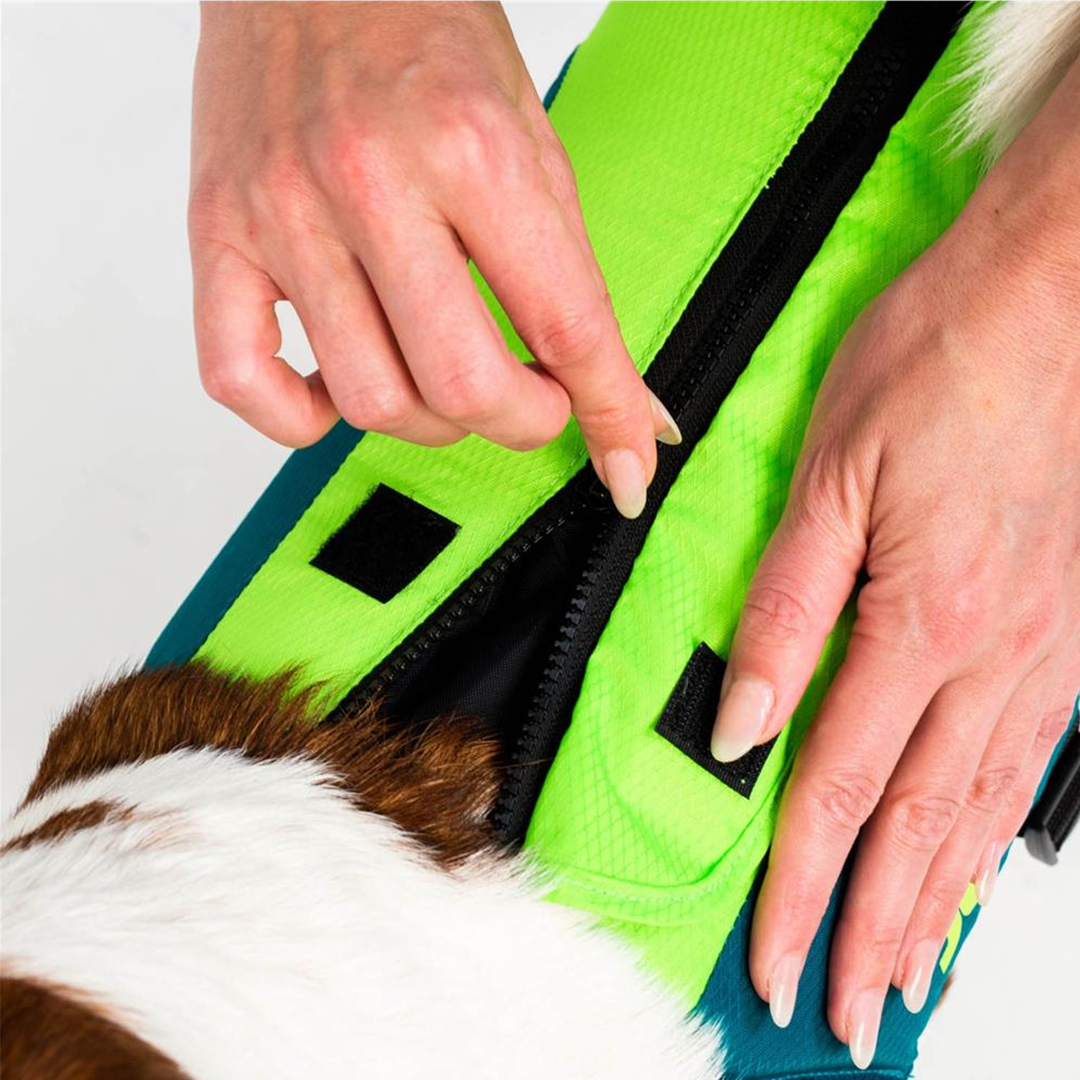 Jobe Dog Lifejacket