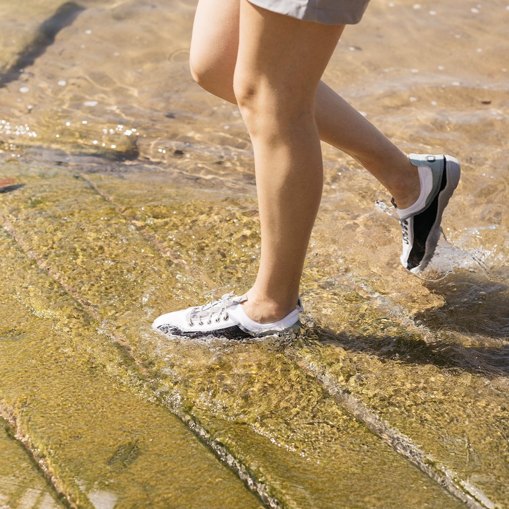 DMESH Aquatic Trainer