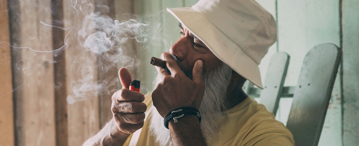 THE HAVANA COLLECTION — Pig & Hen